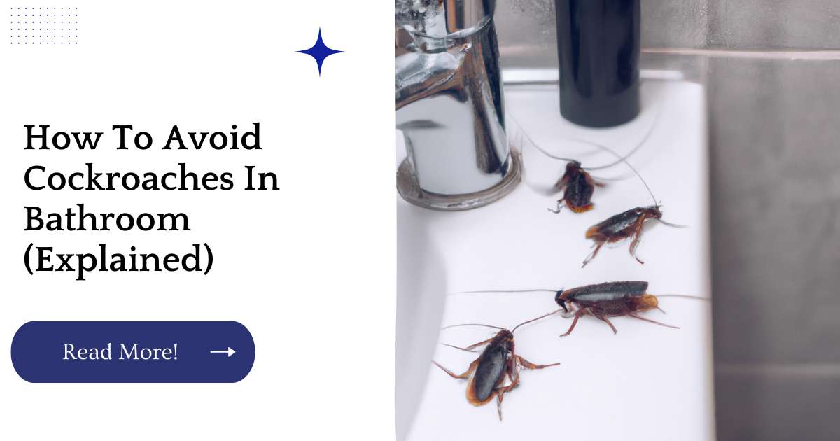 How To Avoid Cockroaches In Bathroom (Explained)
