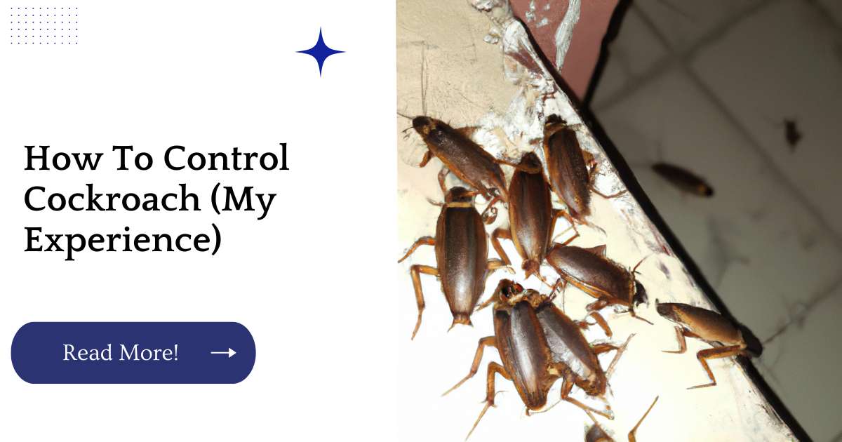 How To Control Cockroach (My Experience)