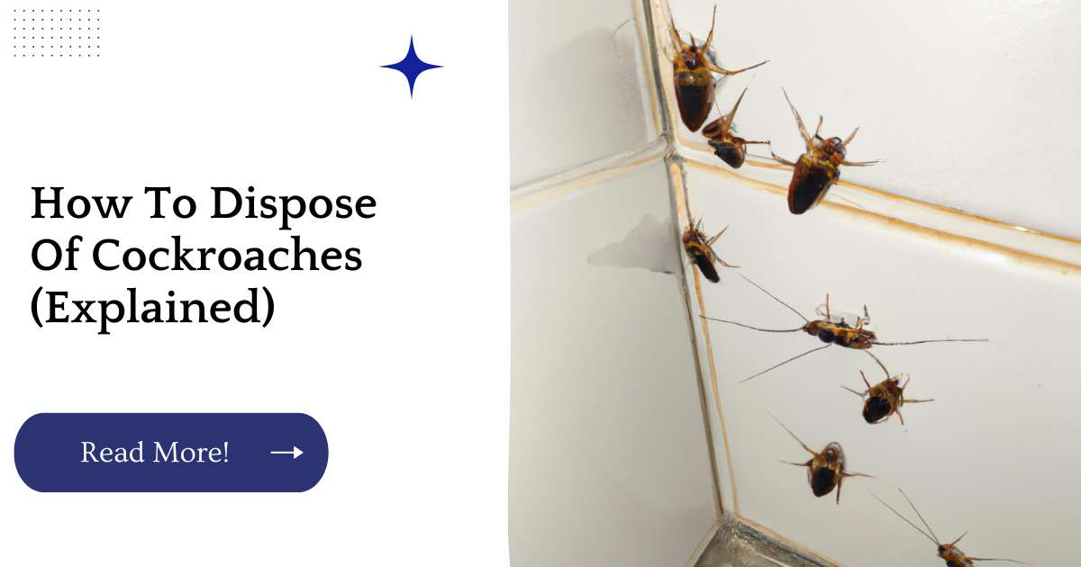 How To Dispose Of Cockroaches (Explained)