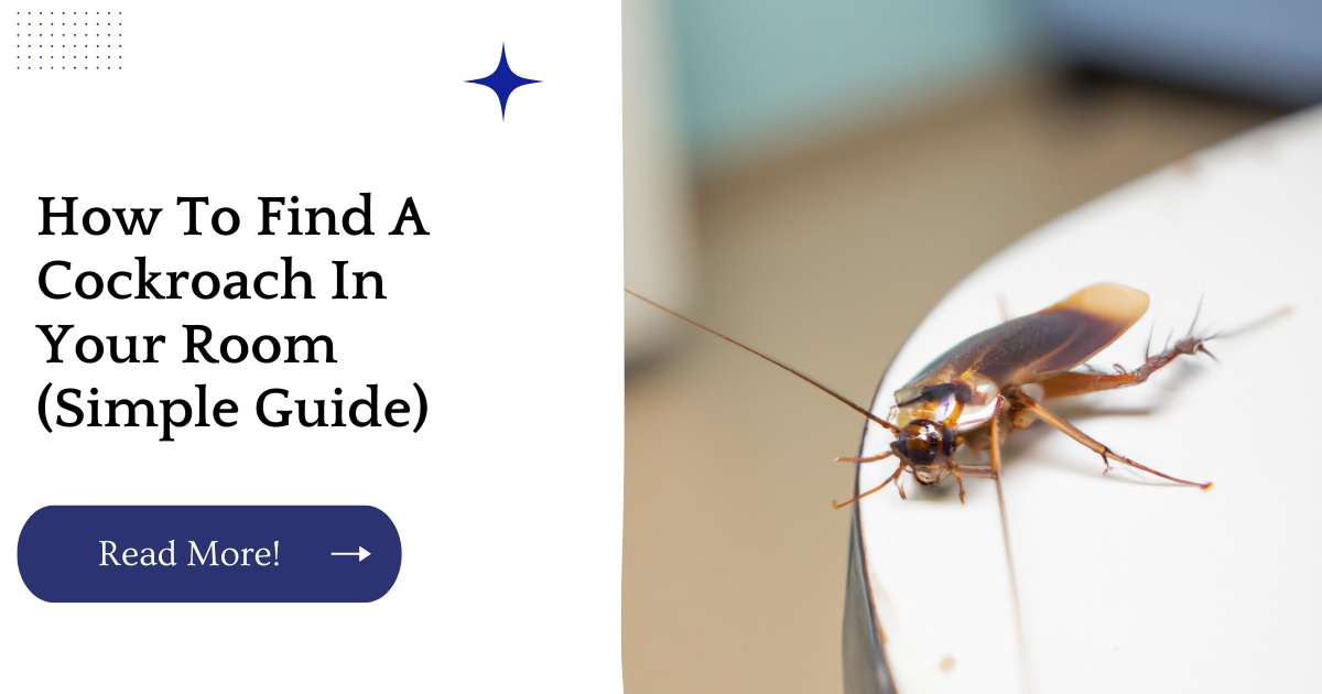 How To Find A Cockroach In Your Room (Simple Guide)