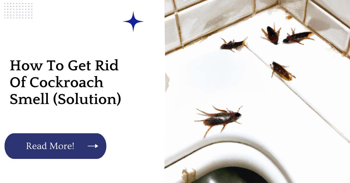 How To Get Rid Of Cockroach Smell (Solution)