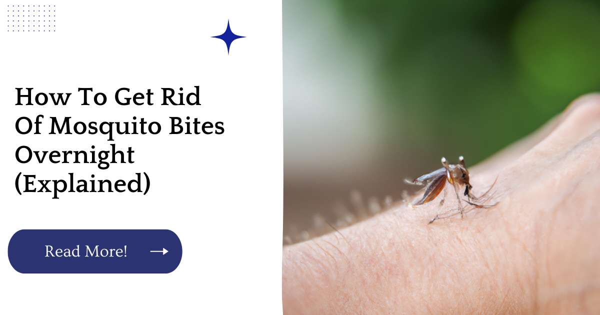 How To Get Rid Of Mosquito Bites Overnight (Explained)