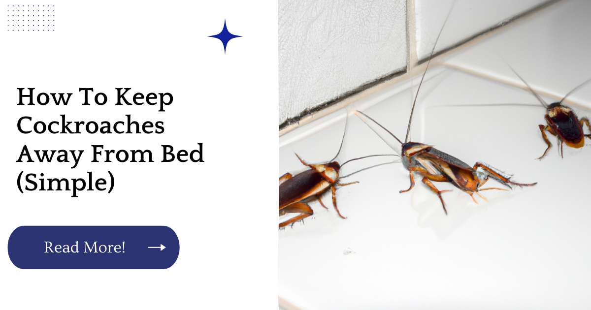 How To Keep Cockroaches Away From Bed (Simple)