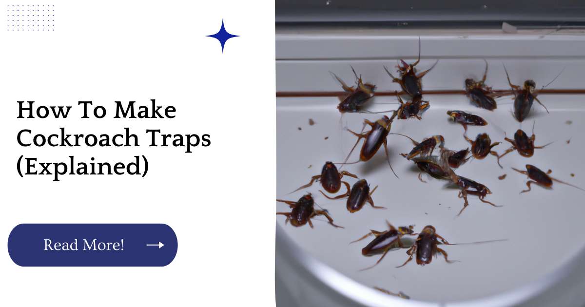How To Make Cockroach Traps (Explained)