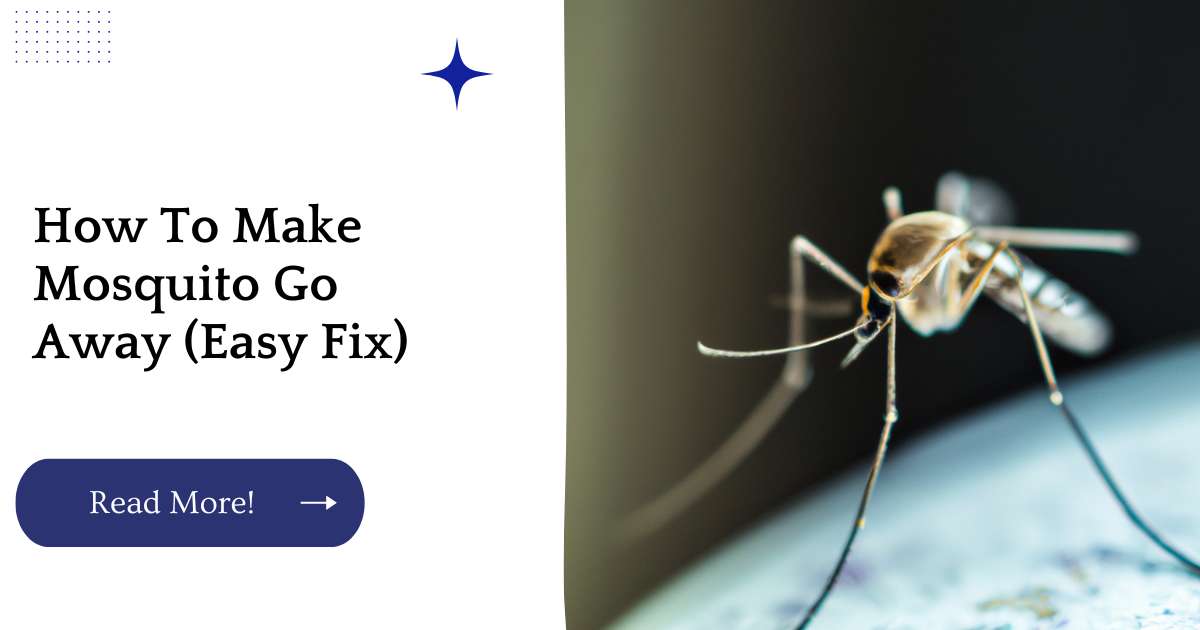 How To Make Mosquito Go Away (Easy Fix)