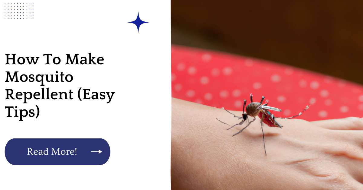How To Make Mosquito Repellent (Easy Tips)