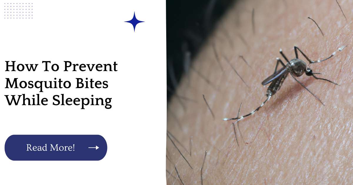 How To Prevent Mosquito Bites While Sleeping