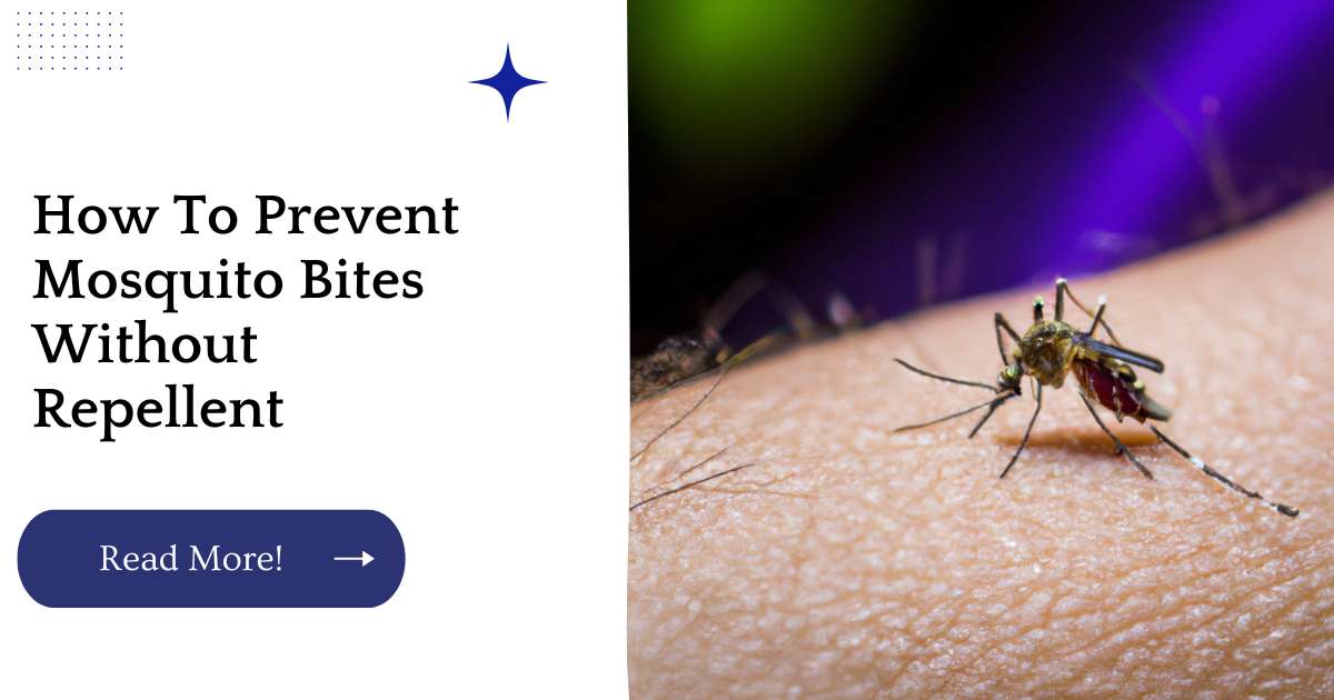 How To Prevent Mosquito Bites Without Repellent