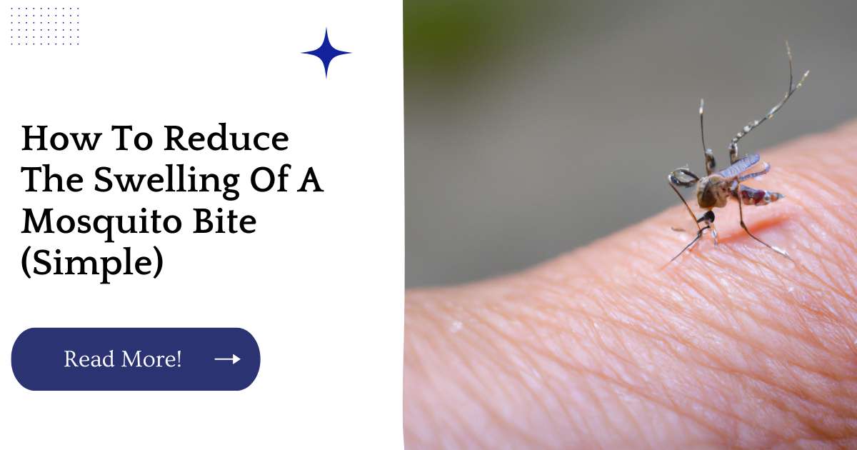 How To Reduce The Swelling Of A Mosquito Bite (Simple)