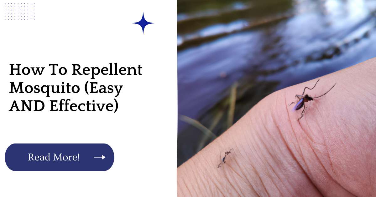 How To Repellent Mosquito (Easy AND Effective)