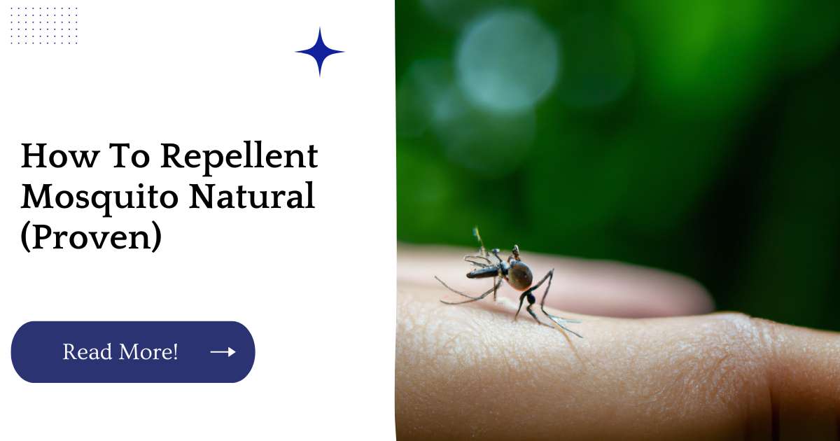 How To Repellent Mosquito Natural (Proven)