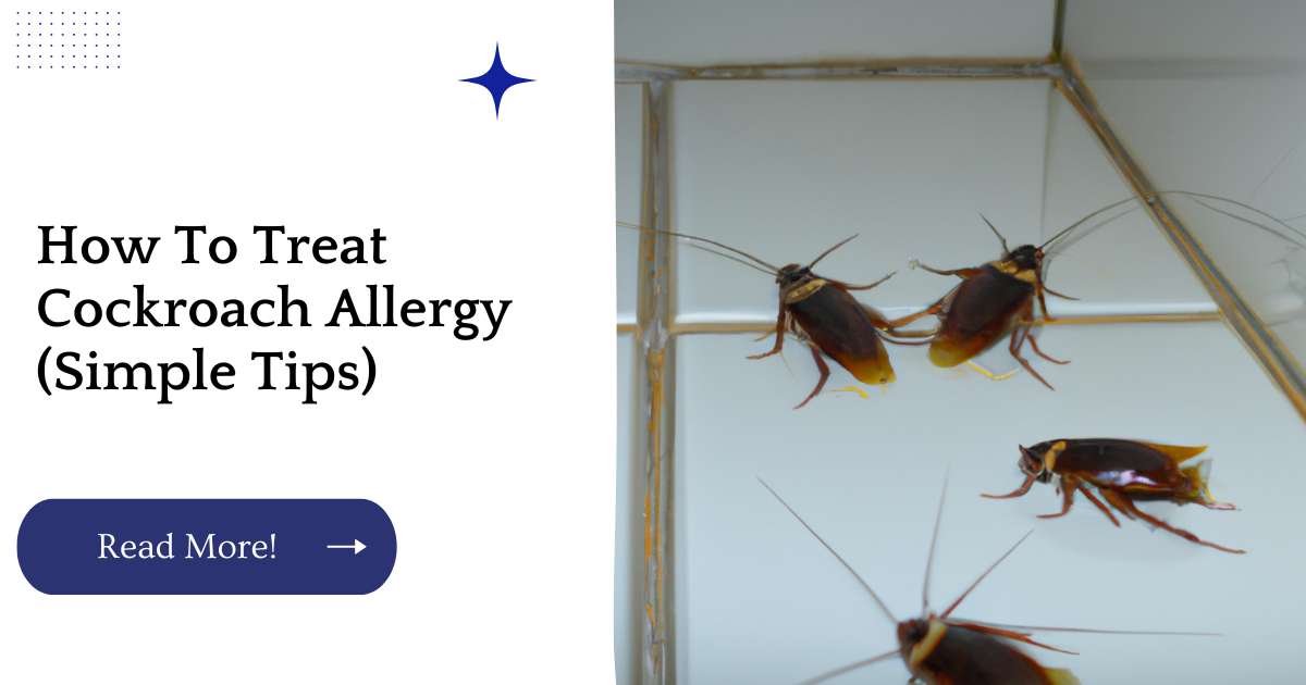 How To Treat Cockroach Allergy (Simple Tips)