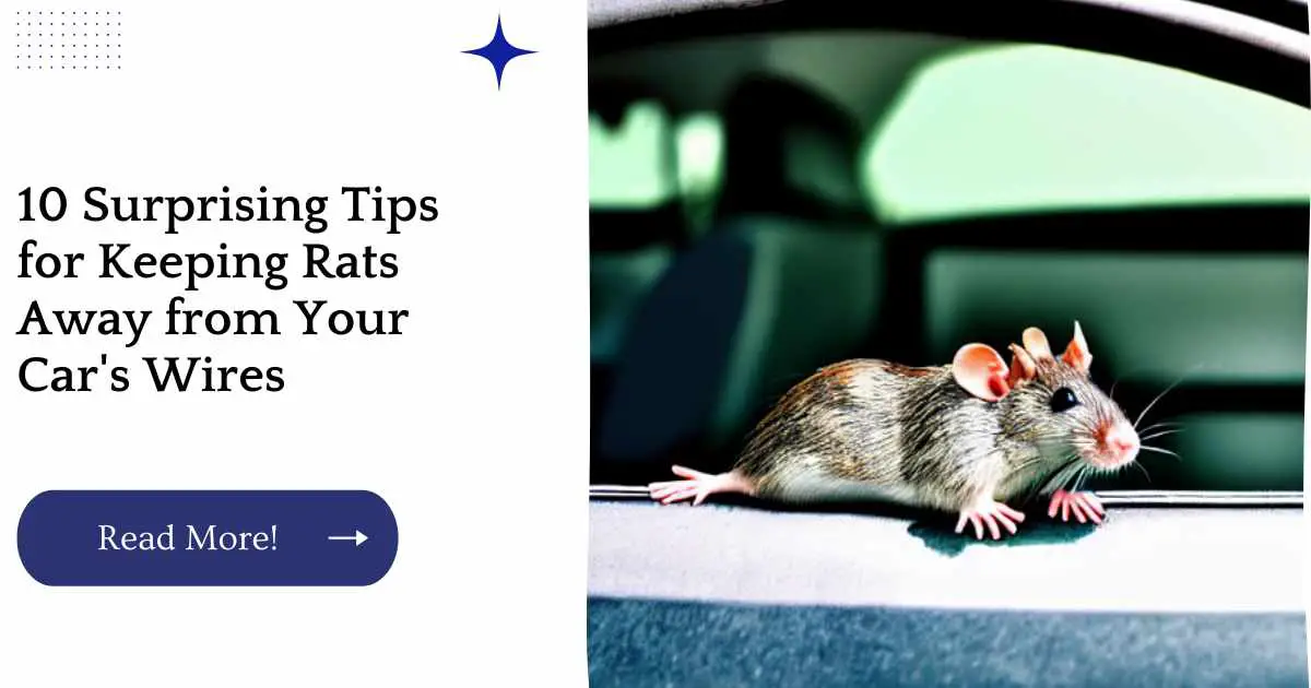 10 Surprising Tips for Keeping Rats Away from Your Car's Wires