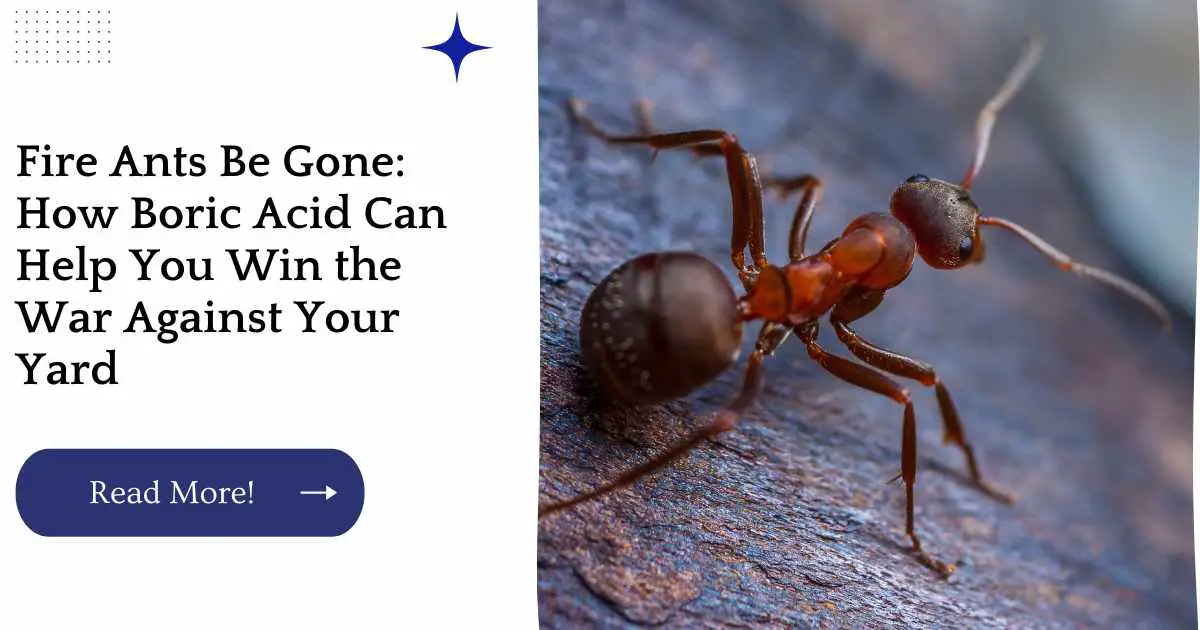 Fire Ants Be Gone: How Boric Acid Can Help You Win the War Against Your Yard