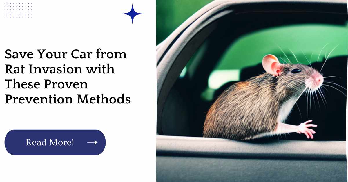 Save Your Car from Rat Invasion with These Proven Prevention Methods