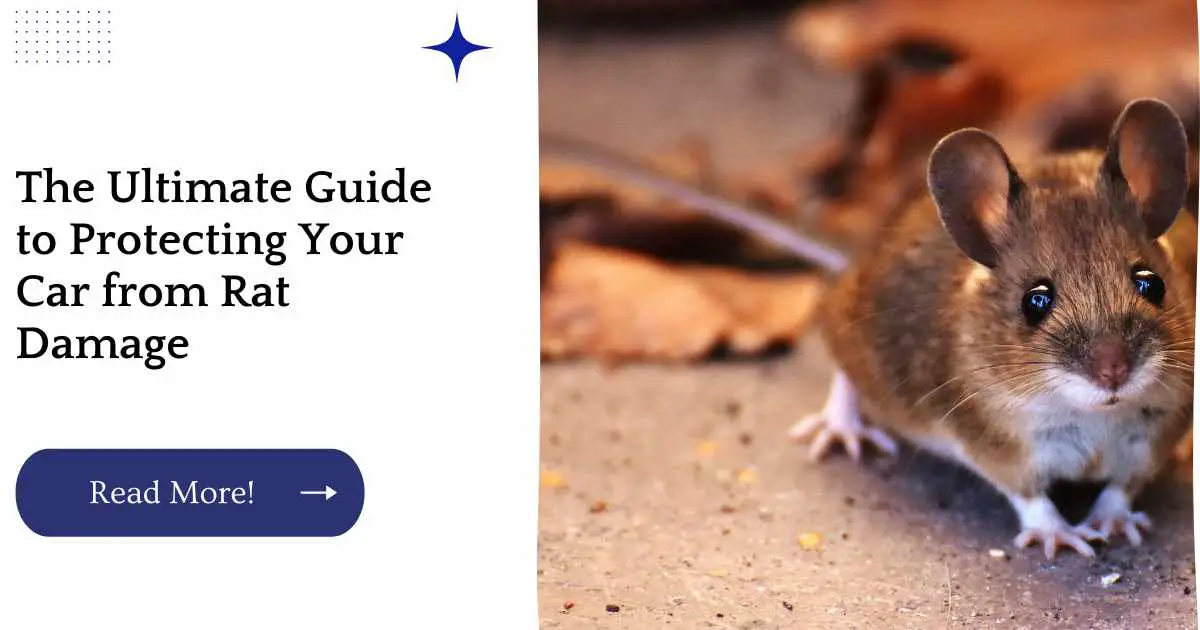 The Ultimate Guide to Protecting Your Car from Rat Damage