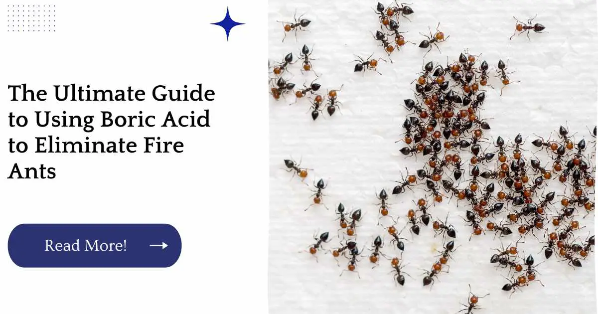 The Ultimate Guide to Using Boric Acid to Eliminate Fire Ants