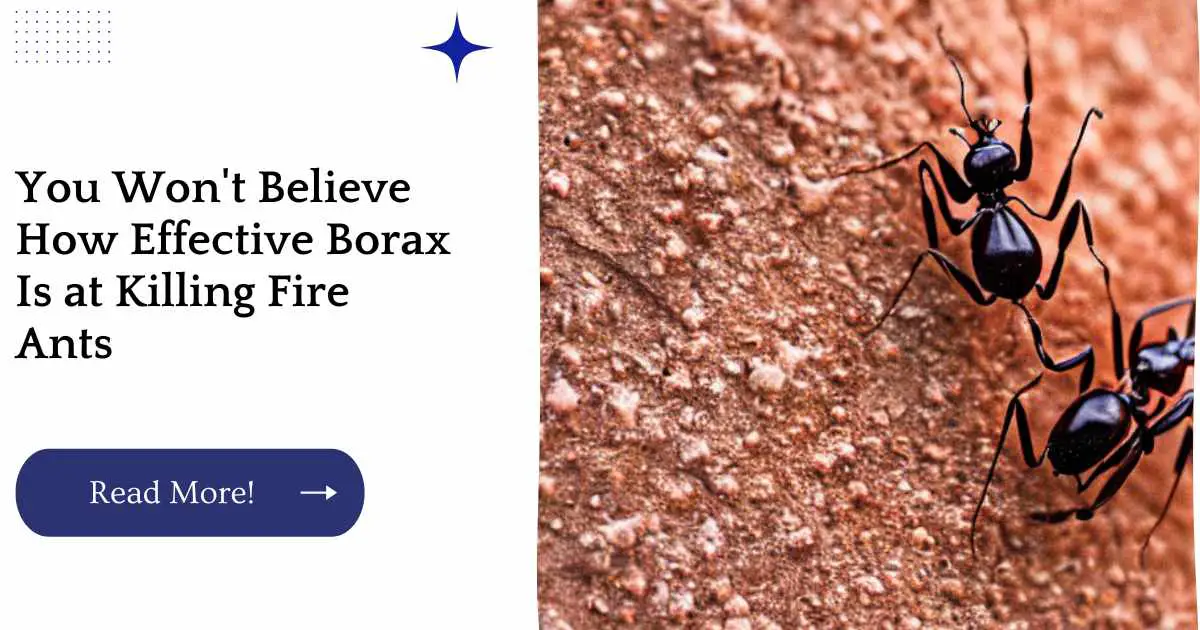 You Won't Believe How Effective Borax Is at Killing Fire Ants