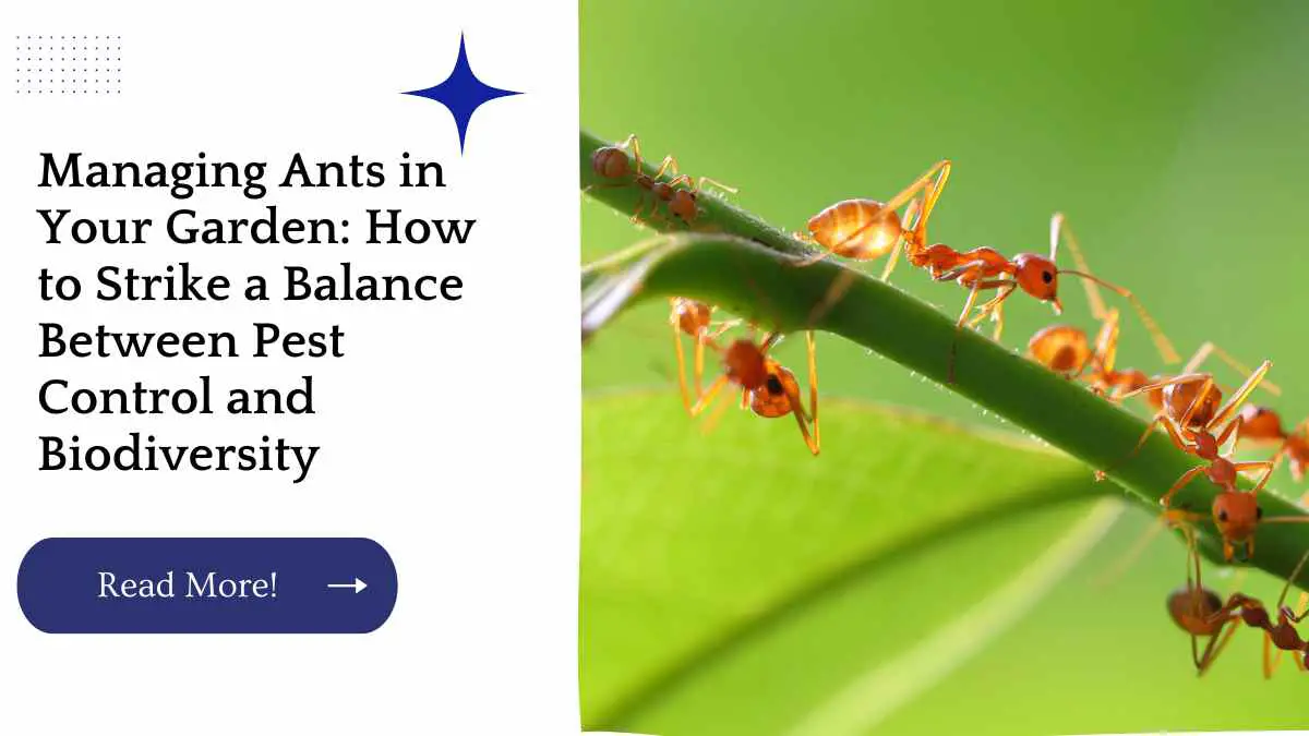 Managing Ants in Your Garden: How to Strike a Balance Between Pest Control and Biodiversity