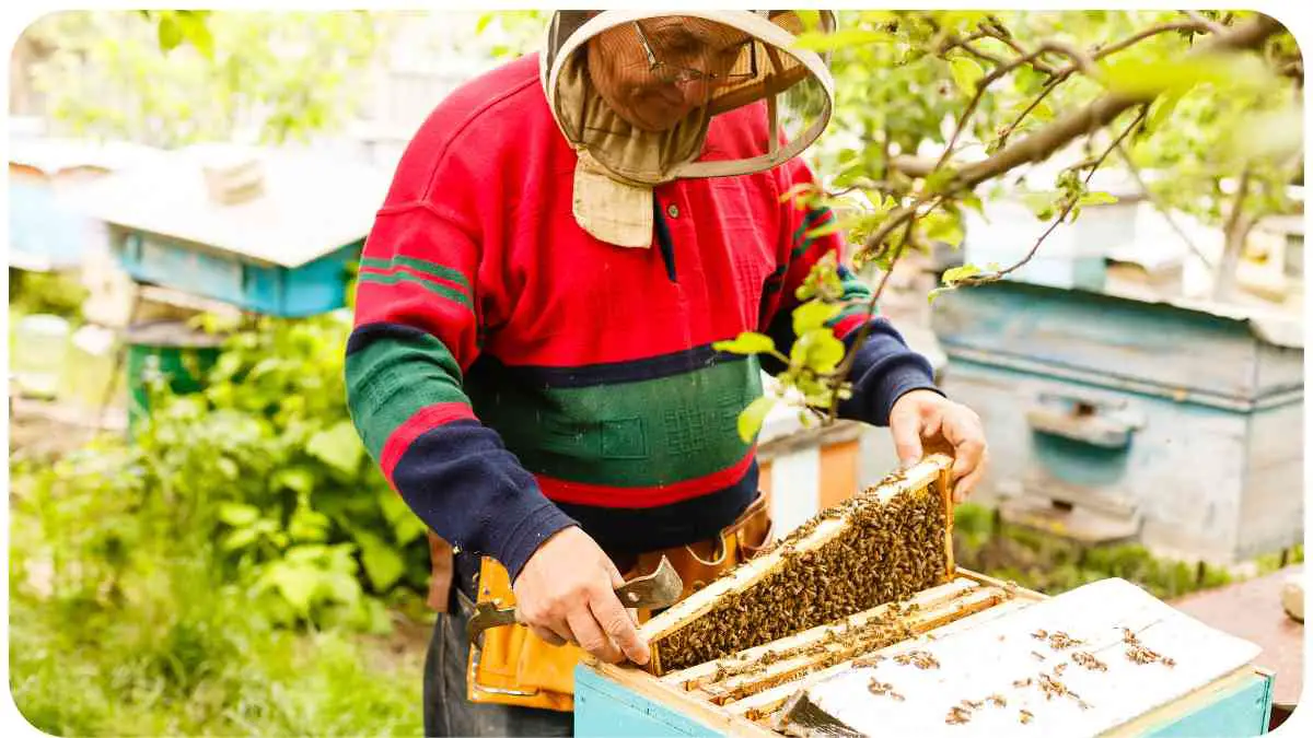 Beehive Removal: When and How to Do It Safely