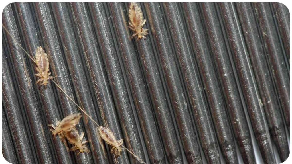 a group of bugs on a metal grill